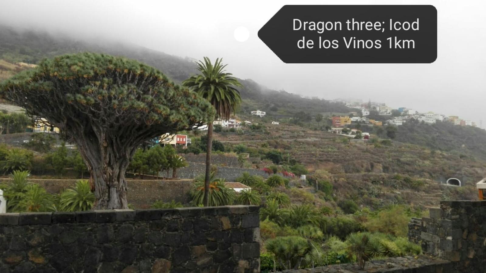 Los Geranios N.25 Icod De Los Vinos Exterior photo